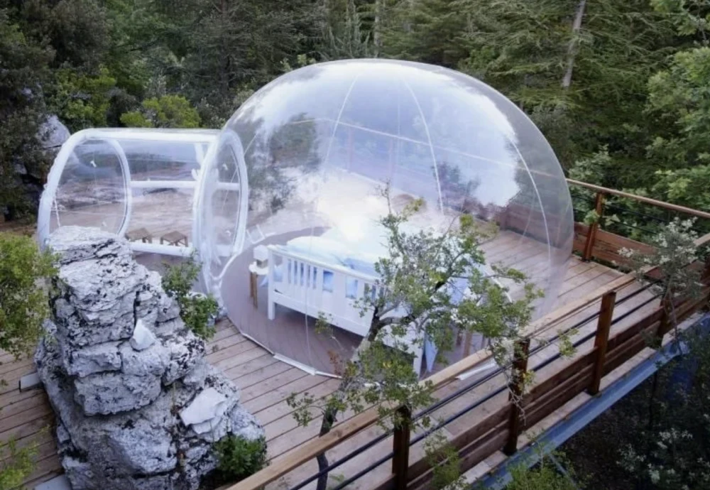 night sky bubble tent